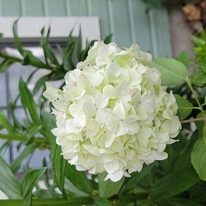 Meet your Posher, Azuma Closet